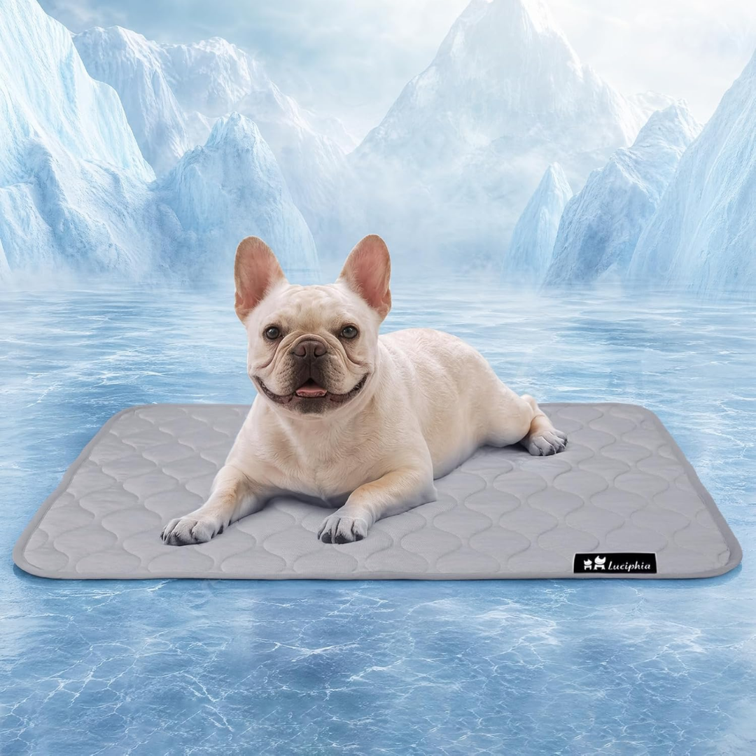 Velmora Pet Cooling Mat
