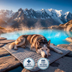 Pawviaz Pet Cooling Mat