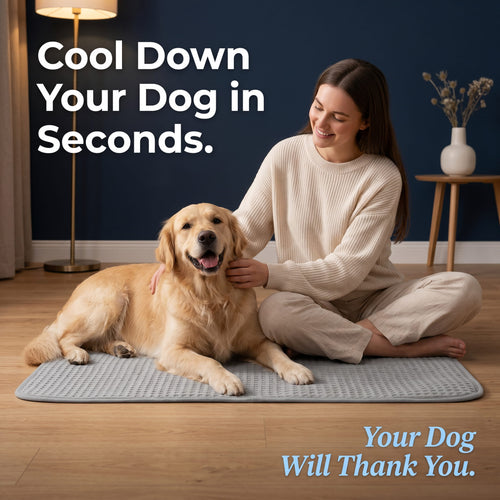 Pawviaz Pet Cooling Mat