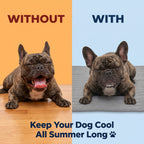 Pawviaz Pet Cooling Mat
