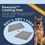 Pawviaz Pet Cooling Mat